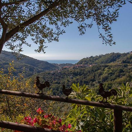 Pietrantica - Affittacamere Con Giardino Nuova Apertura A Trebiano -Citr Luaran gambar