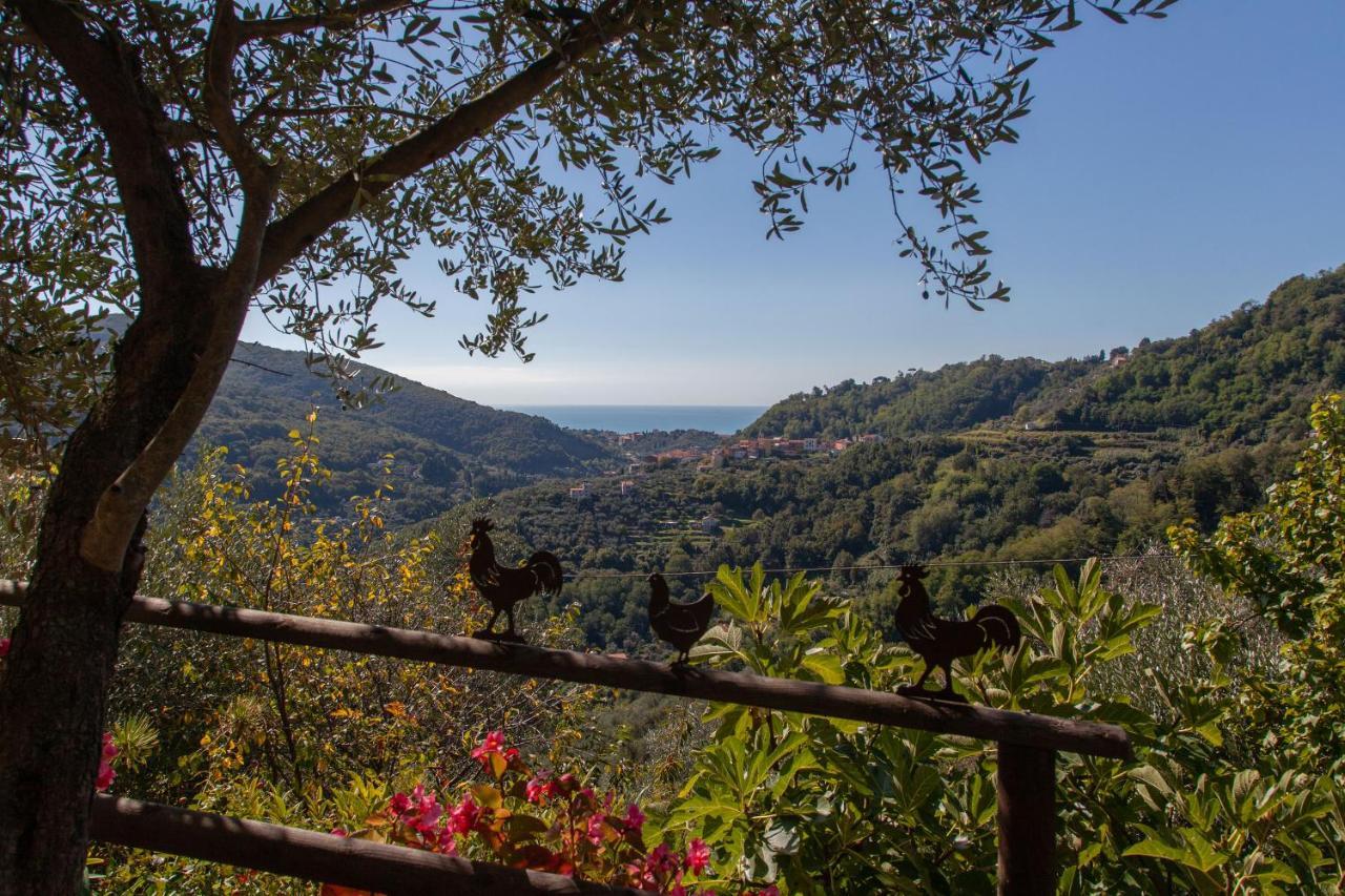 Pietrantica - Affittacamere Con Giardino Nuova Apertura A Trebiano -Citr Luaran gambar