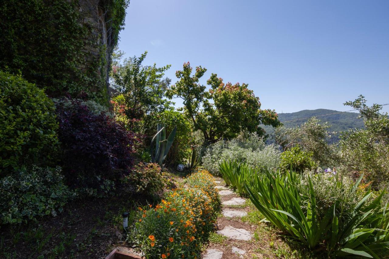 Pietrantica - Affittacamere Con Giardino Nuova Apertura A Trebiano -Citr Luaran gambar