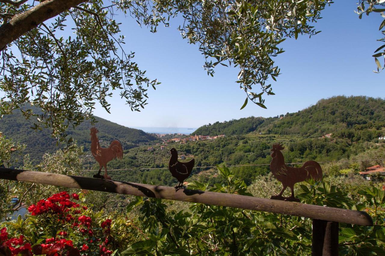 Pietrantica - Affittacamere Con Giardino Nuova Apertura A Trebiano -Citr Luaran gambar
