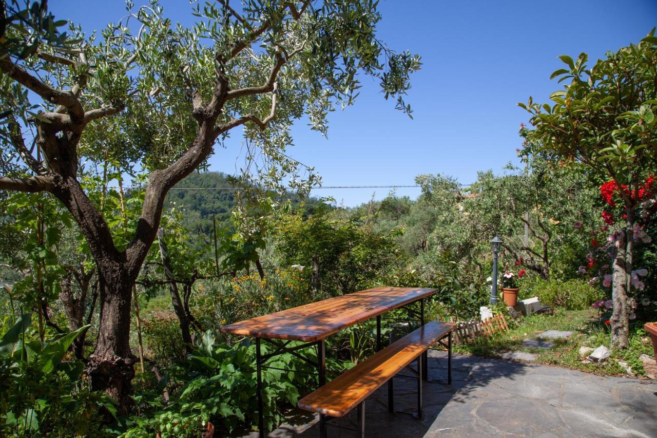 Pietrantica - Affittacamere Con Giardino Nuova Apertura A Trebiano -Citr Luaran gambar