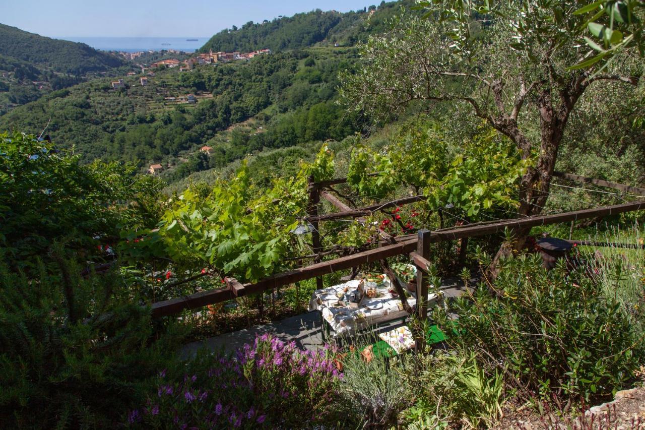 Pietrantica - Affittacamere Con Giardino Nuova Apertura A Trebiano -Citr Luaran gambar